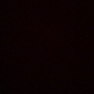 Meet your Posher, Zuwena